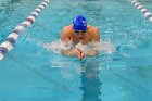 Swimming vs Bentley  Wheaton College Swimming vs Bentley. - Photo By: KEITH NORDSTROM : Wheaton, Swimming, Bentley